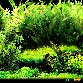 背景