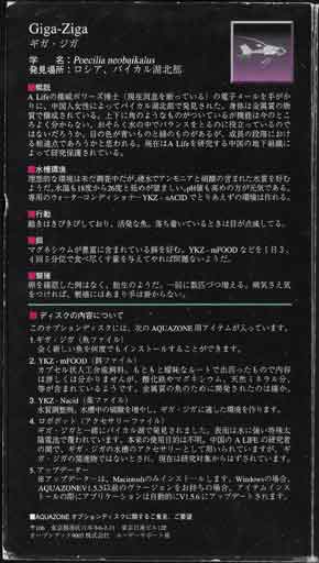 外箱２