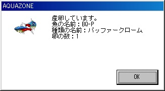 産卵１