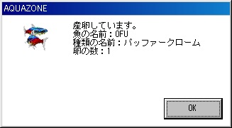 産卵２