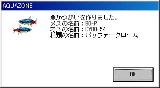 つがい１